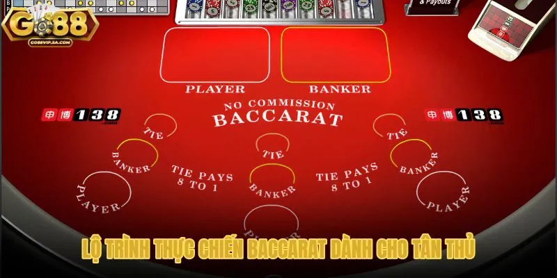 lo-trinh-thuc-chien-baccarat-danh-cho-tan-thu